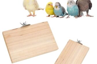 Sage Square Wooden Stand Platform Made of Natural Wood Combo of Two (3 * 4 & 6 * 4.5 inches) Rectangle Shaped Perch Stand, Cage Accessories, Gym, Playful Toy, Suitable for Birds, Parrots, Budgies