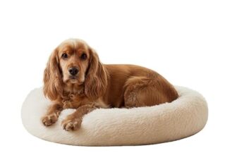 Amazon Basics Faux Fur Donut Pet Bed | Medium (70x70x15 cm) | Color – Beige | Reversible, Washable, Cozy Mat for Cats & Dogs