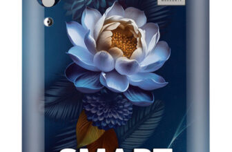 LG 185 L Direct Cool Single Door 5 Star Refrigerator with Base Drawer(Blue Waterlilly, GLD1956ZABW)