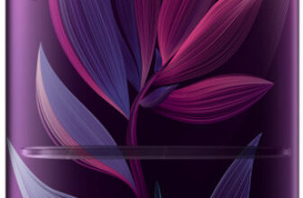 Samsung 183 L Direct Cool Single Door 4 Star Refrigerator with Base Drawer(PARADISE BLOOM PURPLE, RR20H28249R/NL)