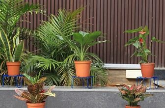 TrustBasket Eclips Plant Stands Blue (Set of 6) | Premium Strong and Durable Flower Pot Stand for Home Garden, Outdoor Balcony Indoor Living Room Decor | Gamla Stand