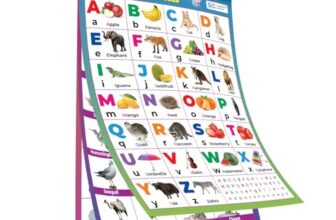 GDC My First All-in-One Spiral Wall Chart for Kids – 16 Educational Learning Topics | Big Fonts & Realistic Pictures | Preschool & Kindergarten … All-in-One Educational Wall Charts for Kids)