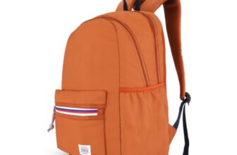 American Tourister Carter | 28L Backpack | 15.6″ Laptop Bag | 2.5 Compartments | College & Office Backpack for Men and Women | Ginger/Orange | 1 Year Global Warranty