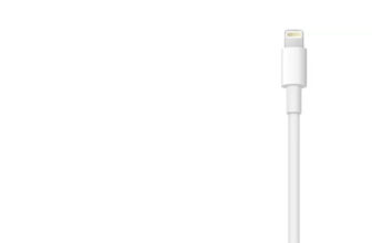 Apple VGA Cable 1 A 0.1 m MD825ZM/A(Compatible with Lightning to VGA Adapter, White, One Cable)
