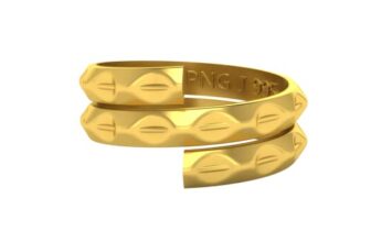 PNG Jewellers 2 gm Vedhani Gold coin 24 kt (995)