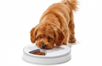 Amazon Basics Automatic Rotating Tray Pet Feeder | 6-Meal Timer | Programmable Feeding with LED Display | Portion Control for Cats & Dogs | White (Plastic) (Standard)