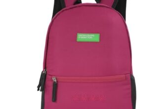 United Colors Of Benetton 12 Litres Citron Unisex 3 Compartment Backpack (Wine)