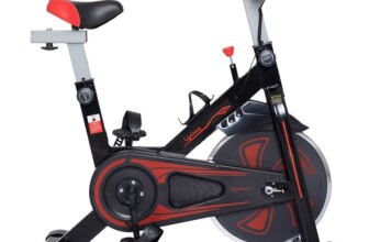 Lifelong LLF45 Fit Pro Spin Fitness Upright Stationary Exercise Bike(Black)