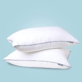 The Sleep Company Plush Pillow | Super Soft | 100% Virgin Microfiber Filling | Hypoallergenic |White, Pack of 2