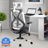 ASTRIDE Ergofit BIS Certified Ergonomic High Back, Synchro Tilt Mechanism Mesh Office Adjustable Arm Chair(Grey, Optional Installation Available)