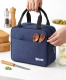Insulated Travel Lunch/Tiffin/Storage Bag for Office, College & School Picnic & Lunch Bags (Blue)