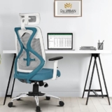 Da URBAN® Merlion Office Chair,High Back Mesh Ergonomic Home Office Desk Chair with 3 Years Warranty, Adjustable Armrests,Adjustable Lumbar Support,Tilt Lock Mechanism (Blue)