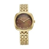 Titan Aura Phase Quartz Analog Brown Dial Golden Stainless Steel Strap Watch for Women-95241YM01