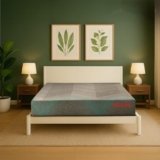 Repose Eyelidz Spine Pro Orthopaedic Memory Foam Mattress (Double, 75X48X6)