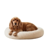 Amazon Basics Faux Fur Donut Pet Bed | Medium (70x70x15 cm) | Color – Beige | Reversible, Washable, Cozy Mat for Cats & Dogs