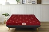 Springtek Amaze Eco Premium High Density Foam Mattress | 4 Inches Quilted Anti-Microbial Fabric Eco HD EPE Foam Mattresses | King Size Gadda | 78×72 Inches