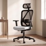 DROGO Ergonaut Ergonomic Office Chair for Work from Home | Computer Chair with 2D Headrest, Armrests & Adjustable Lumbar Support | Breathable Mesh with 120° Recline, 1-Year Warranty (Black & Grey)