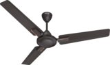 HAVELLS Ambrose Neo Ceiling Fan| High Speed, High Air Delivery| Strong & Powerful motor with 2 Year Warranty Anti Dust 1200 mm Ceiling Fan(Smoke Brown | Pack of 1)