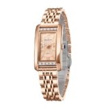 Daniel Hechter Paris Solferino Collection Stylish Analog Watch for Women with Rectangular Dial, Roman Accents, Stainless Steel Strap & Water Resistant – DHW2010