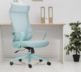 INNOWIN Flamingo High-Back Ergonomic Home Office Chair | 3-Years Limited Warranty Included | Tilting & Height Adjustable Mechanism, Heavy Duty Metal Base | Ideal for Office Work & Study (Mint Green)