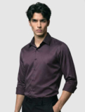 BROANGAIN Men Solid Formal Purple Shirt