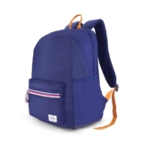 American Tourister Carter | 28L Backpack | 15.6″ Laptop Bag | 2.5 Compartments | College & Office Backpack for Men and Women | Navy | 1 Year Global Warranty