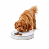 Amazon Basics Automatic Rotating Tray Pet Feeder | 6-Meal Timer | Programmable Feeding with LED Display | Portion Control for Cats & Dogs | White (Plastic) (Standard)