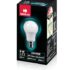 Crompton LED Lamp | 40W | Cool Day Light | B22 Base | 6500 Kelvin | 1 year Warranty | Pack of 1
