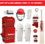 HF Grand Edition VK -18 Limited Edition Cricket Kit
