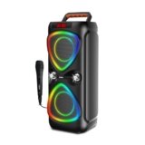 FRONTECH Smash-251 Party Speaker, 30W, RGB Lights, Dual 4” Drivers, 2400 mAh Battery, TWS/FM/USB/BT/TF/AUX, Wired Mic, Portable Speaker with Handle, 1 Year Warranty (SW-0251)