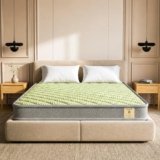 Shayan Dual Comfort Mattress | 4 inch Queen Size | Reversible Design with Soft & Firm Sides | Superior HD Foam | Breathable Knitted Fabric | 72x60x4 Inches Green.