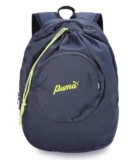 Puma, Unisex-Adult, Dayout V2 Backpack, Cool Dark Gray, (9197201)
