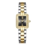 Daniel Hechter Paris Manon Collection Analog Quartz Watch for Women, Sunray Rectangular Dial, Crystal-Studded Stainless Steel Case, Roman Numerals Display, Stainless Steel Strap